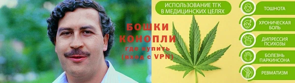 мескалин Гусев
