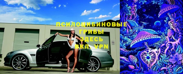 не бодяженный Гусь-Хрустальный