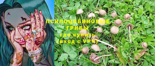 не бодяженный Гусь-Хрустальный