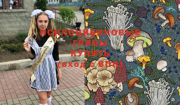 амфетамин Гусиноозёрск