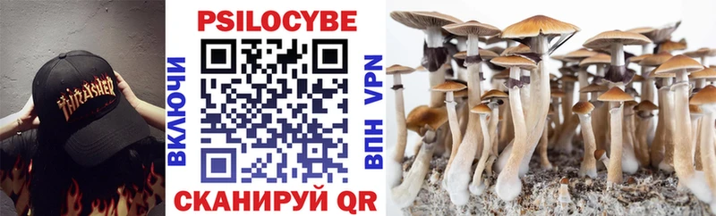 Галлюциногенные грибы прущие грибы  Купить где  Купино 